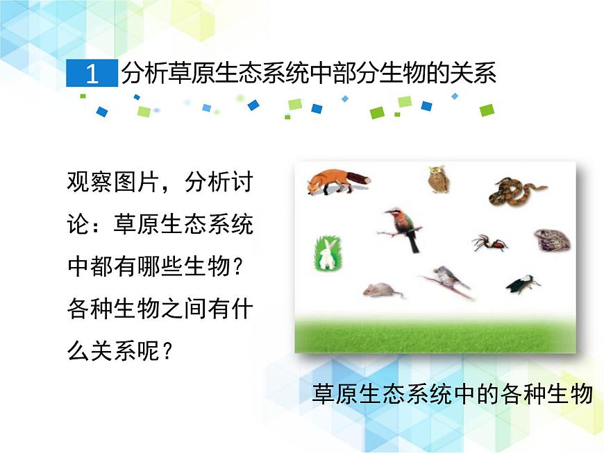 《生態(tài)系統的結構和功能》第1課時優(yōu)教課件第5頁