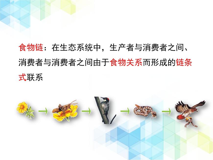 《生態(tài)系統的結構和功能》第1課時優(yōu)教課件第7頁