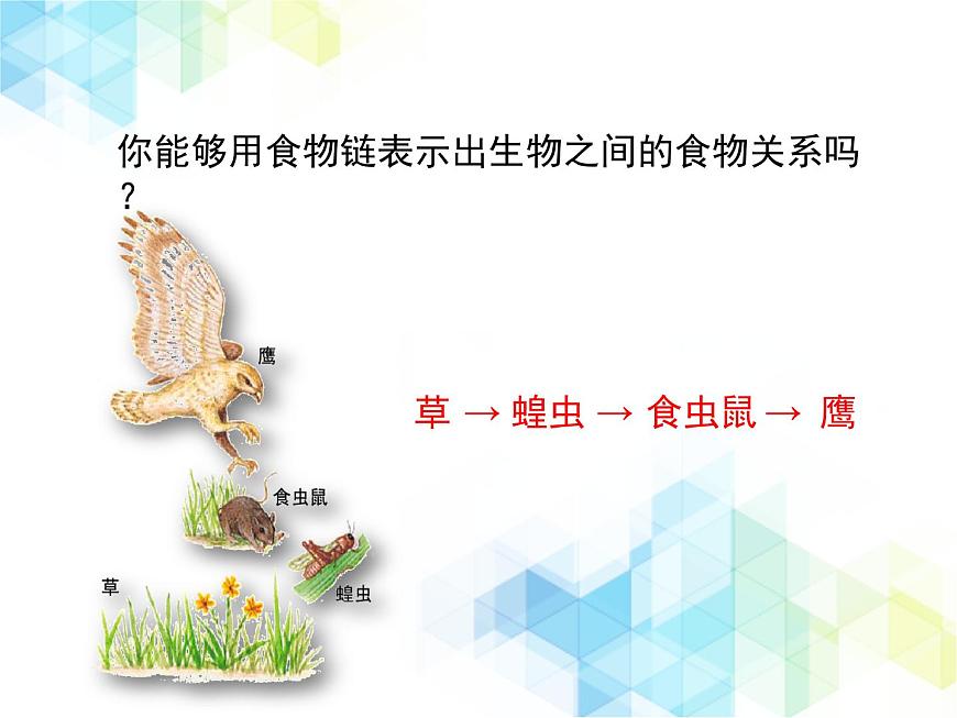 《生態(tài)系統的結構和功能》第1課時優(yōu)教課件第8頁