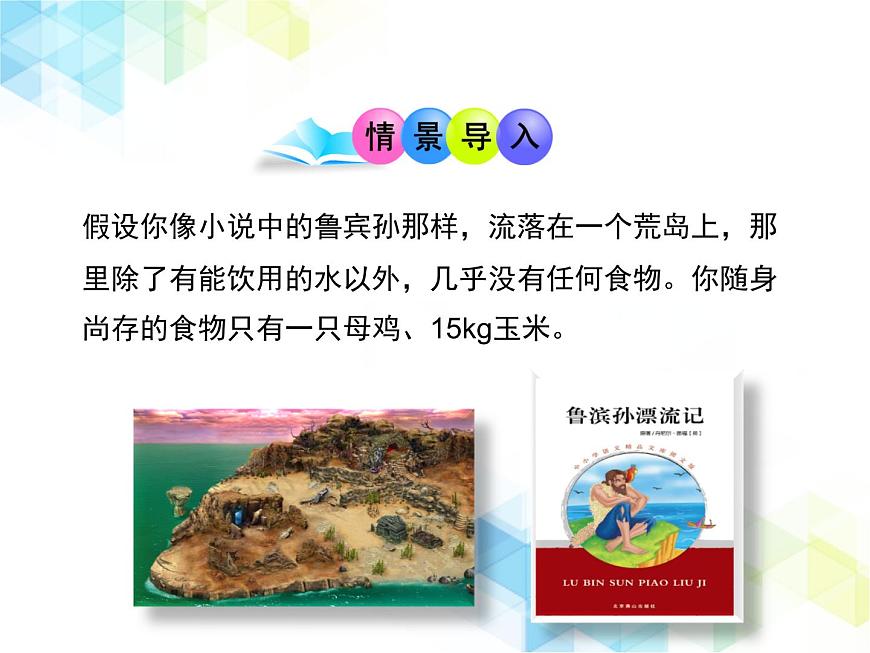 《生態(tài)系統的結構和功能》第2課時授課課件第2頁