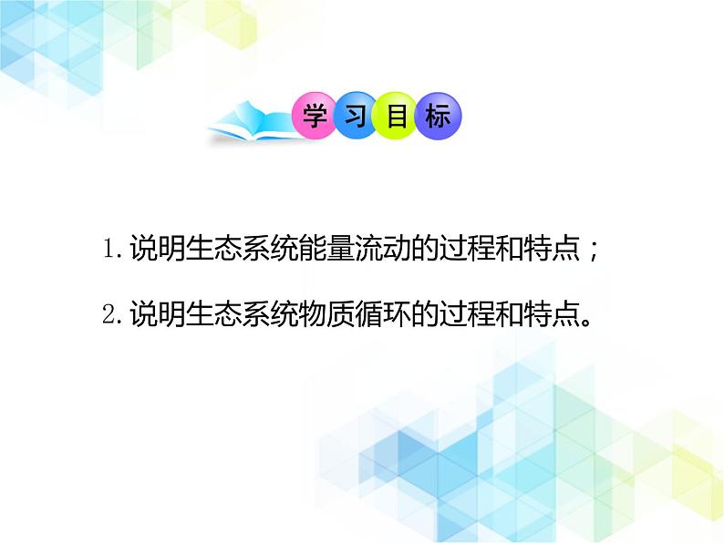 《生态系统的结构和功能》第2课时授课课件第4页