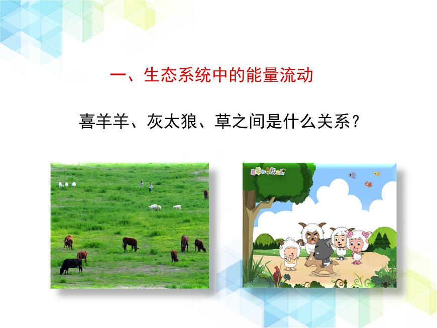 《生態(tài)系統的結構和功能》第2課時授課課件第5頁