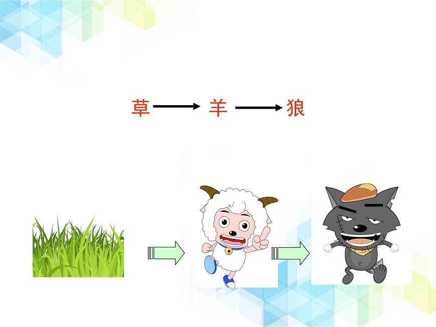 《生態(tài)系統的結構和功能》第2課時授課課件第6頁