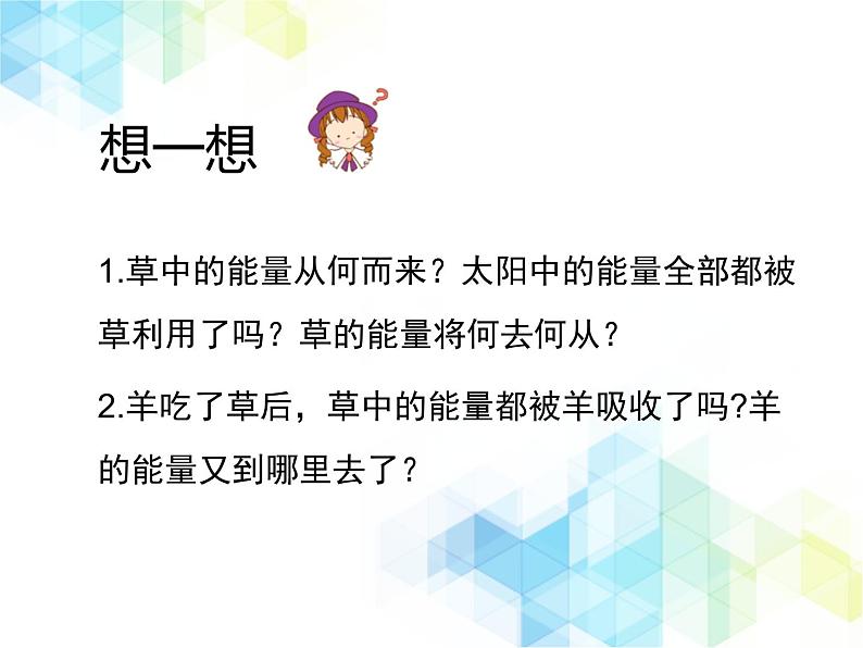 《生态系统的结构和功能》第2课时授课课件第7页
