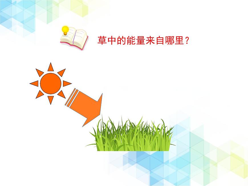 《生態(tài)系統的結構和功能》第2課時授課課件第8頁