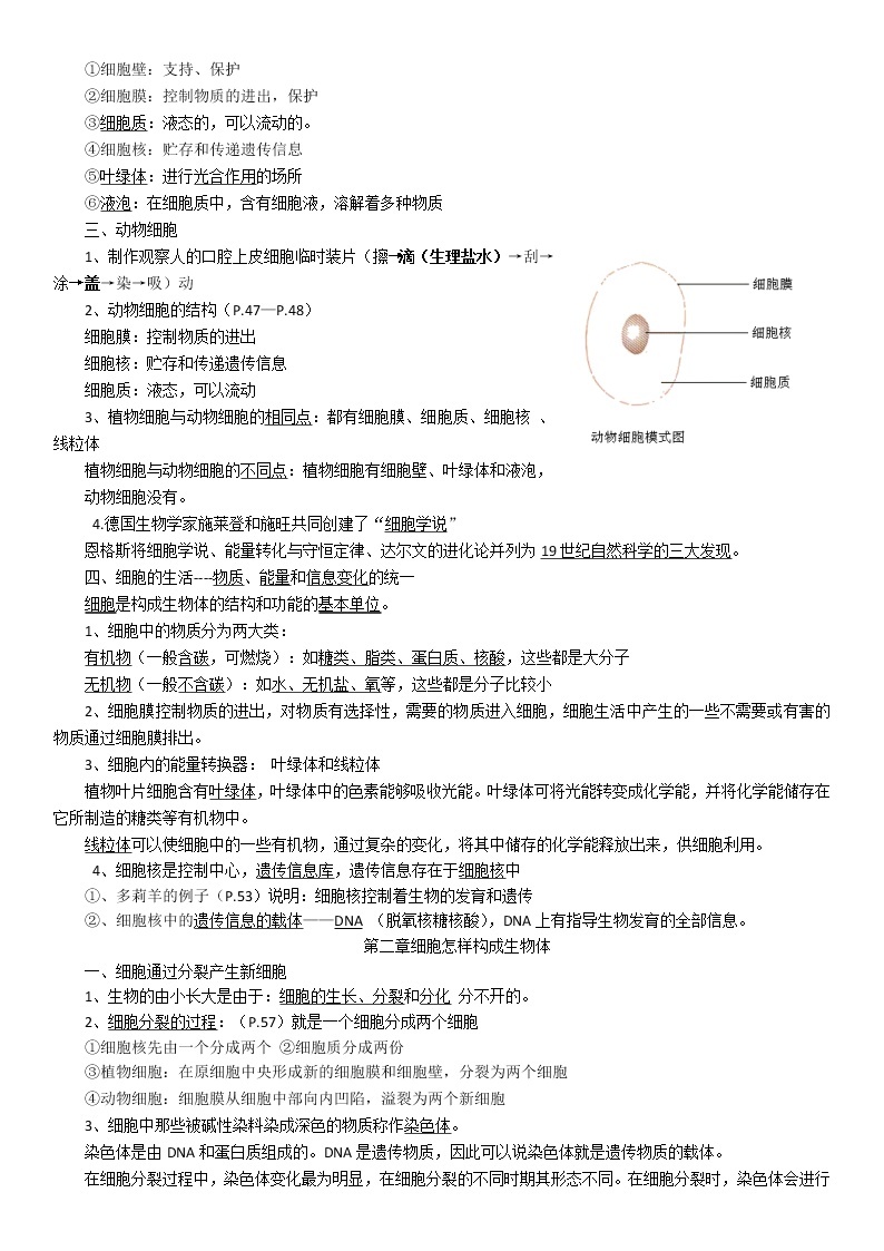 人教版七年级生物上册知识点总结03