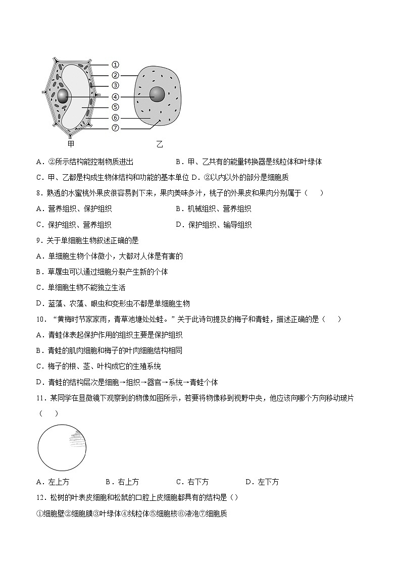 安徽省滁州市定远县2021-2022学年七年级上学期期中考试生物试题(word版 含答案)02