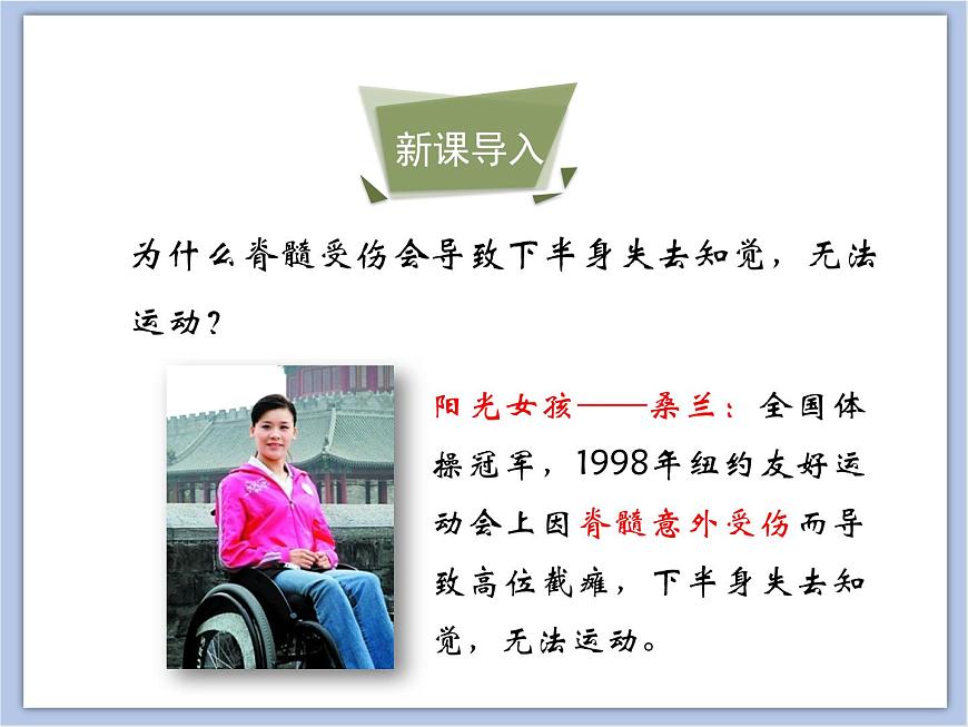 《神經(jīng)調(diào)節(jié)的結(jié)構(gòu)基礎(chǔ)》第二課時(shí)課件第3頁(yè)