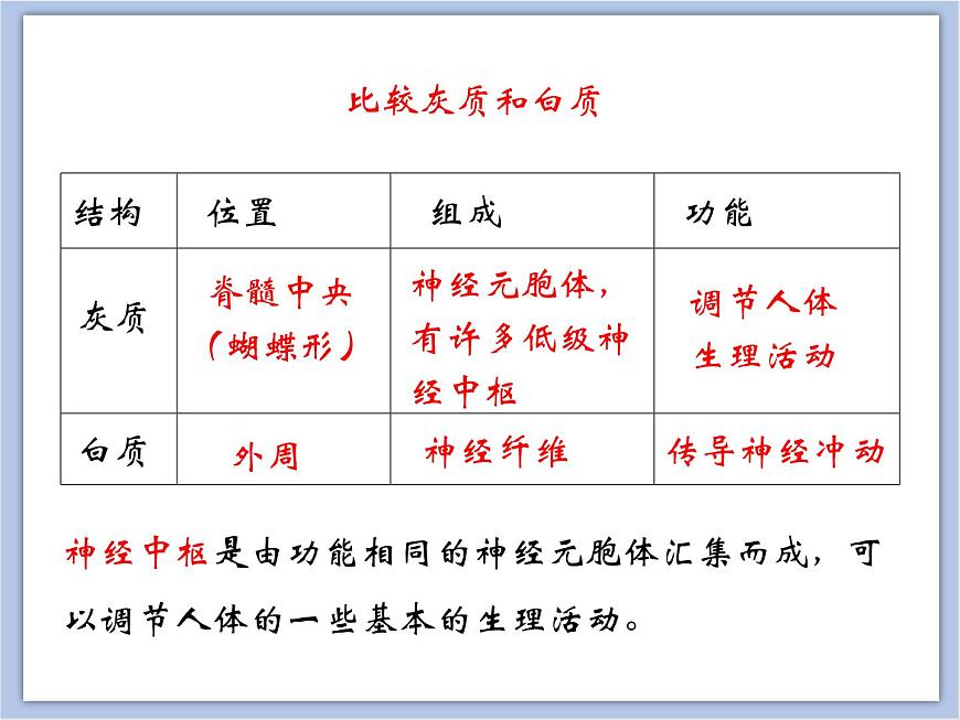 《神經(jīng)調(diào)節(jié)的結(jié)構(gòu)基礎(chǔ)》第二課時(shí)課件第6頁(yè)