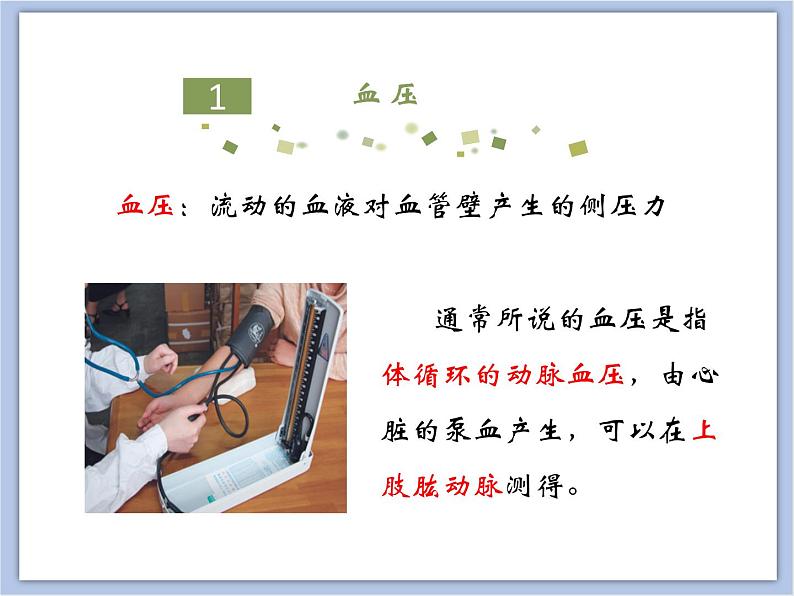 《物质运输的途径》第二课时课件05
