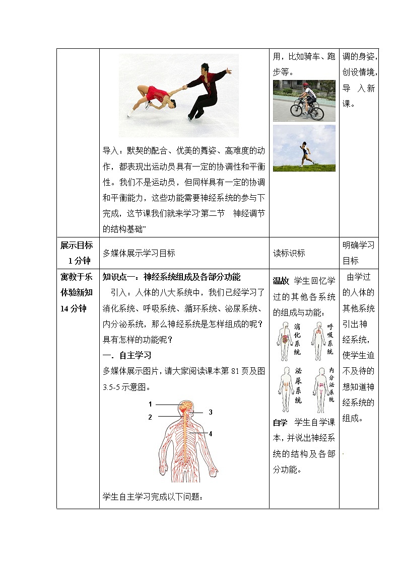 《神经调节的结构基础》第一课时教案02