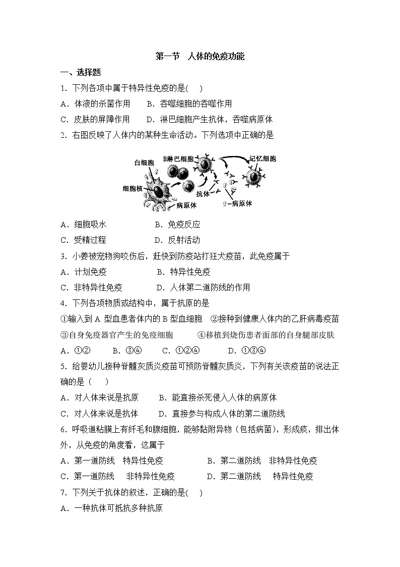 《人体的免疫功能》同步练习01