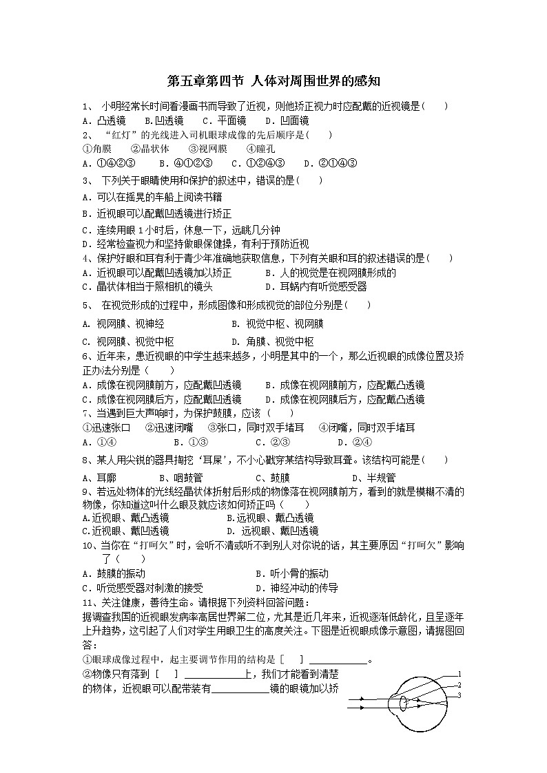 《人体对周围世界的感知》同步练习01