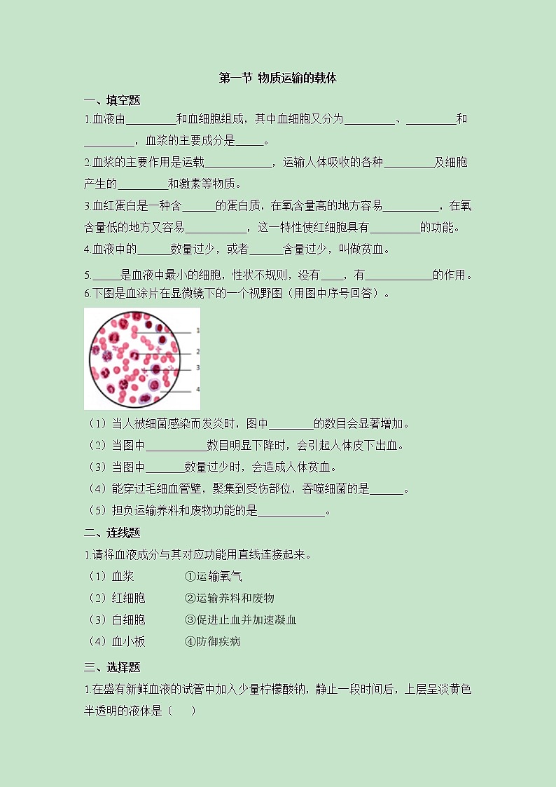 《物质运输的载体》同步练习101