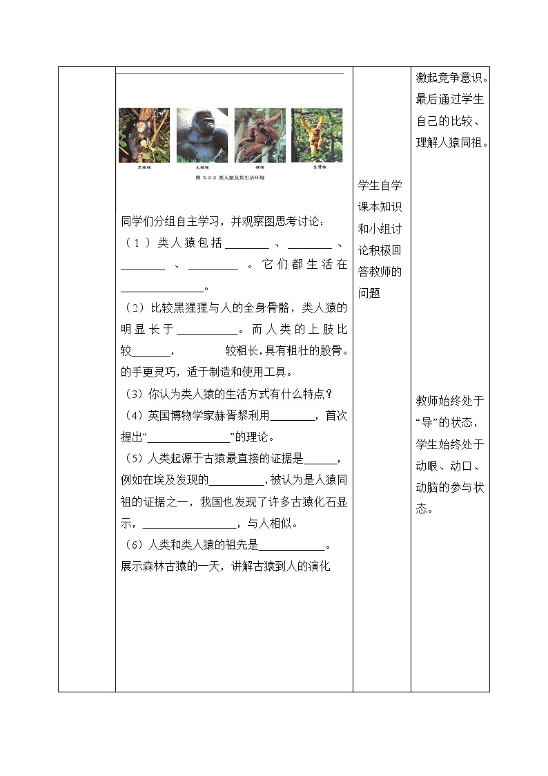 《人类的起源》教案03