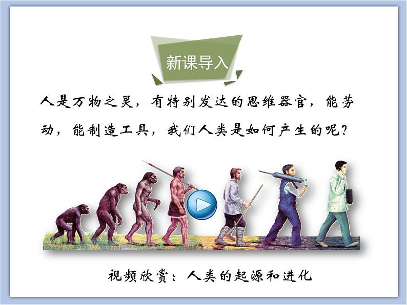 《人类的起源》课件第3页