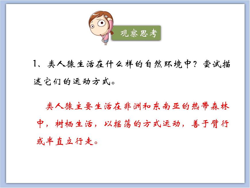 《人類的起源》課件第7頁