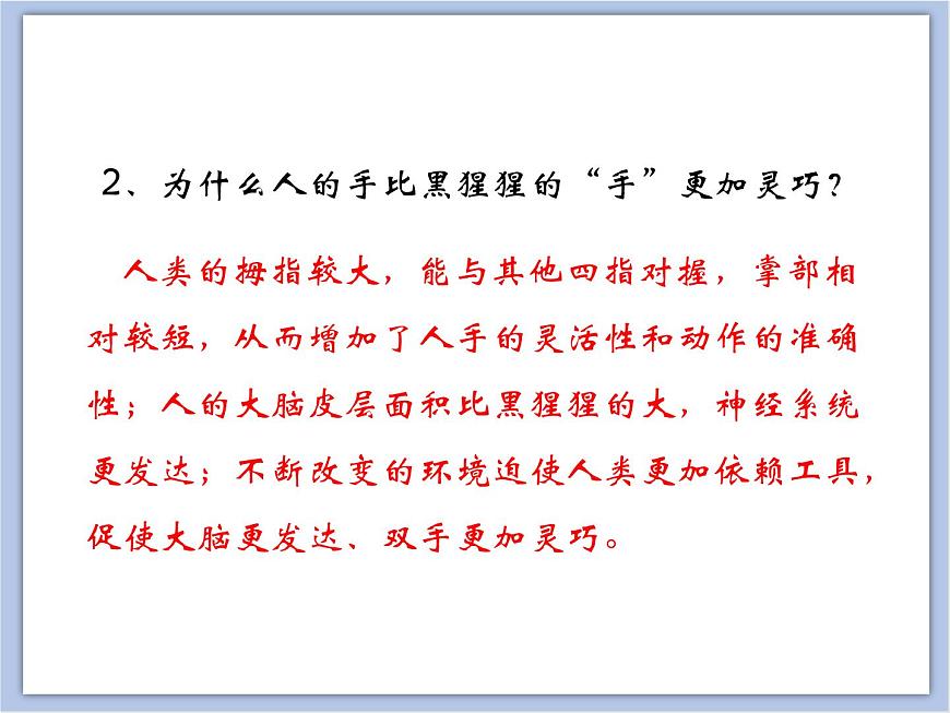 《人類的起源》課件第8頁