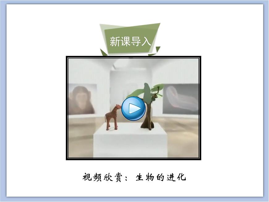 《生物進化的原因》課件第3頁