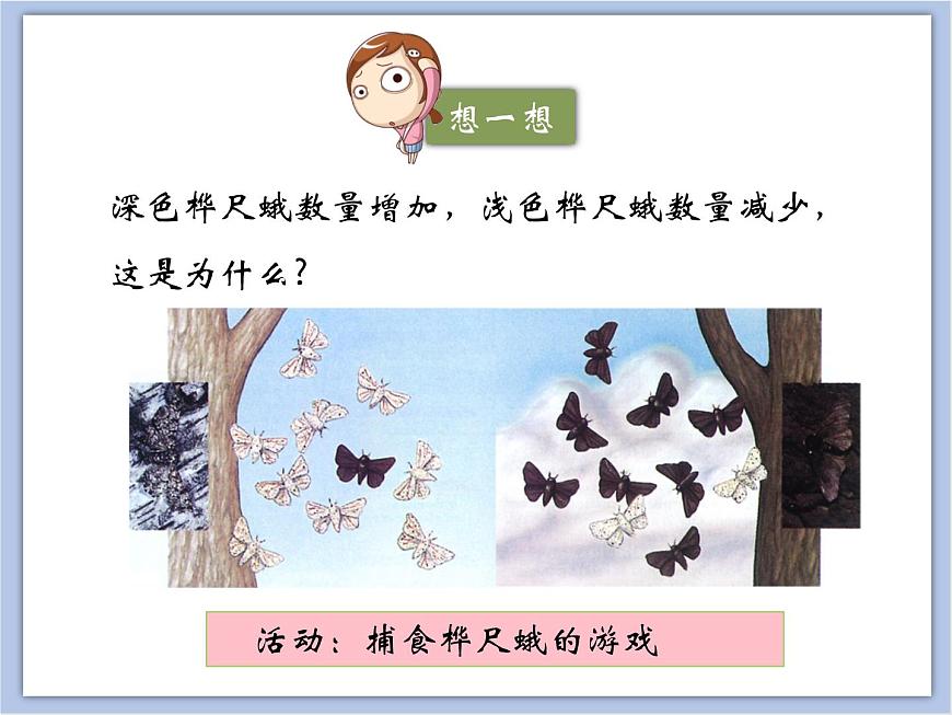 《生物進化的原因》課件第6頁