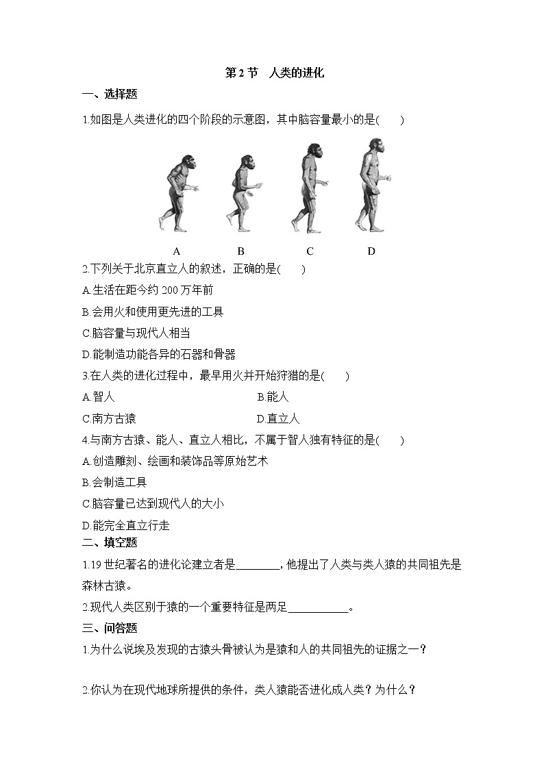 《人类的进化》同步练习01
