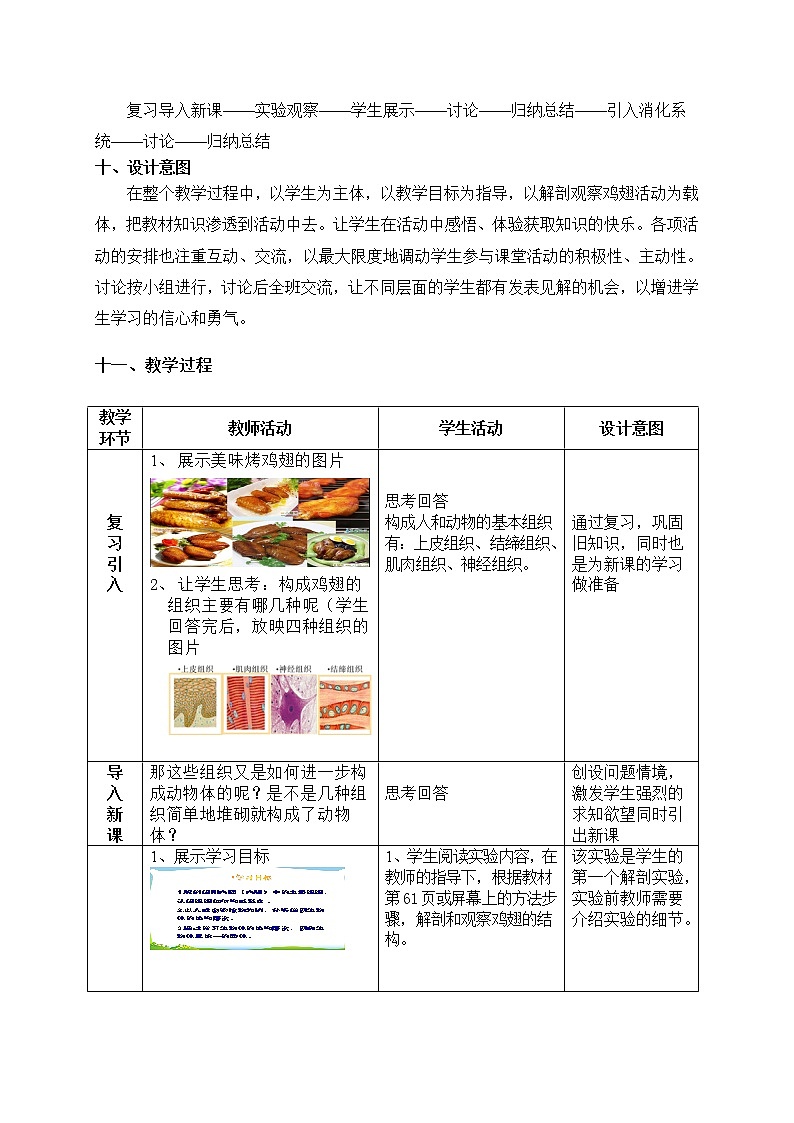 北师大版生物七年级上册 4.2 生物体的器官、系统(3)(教案)02