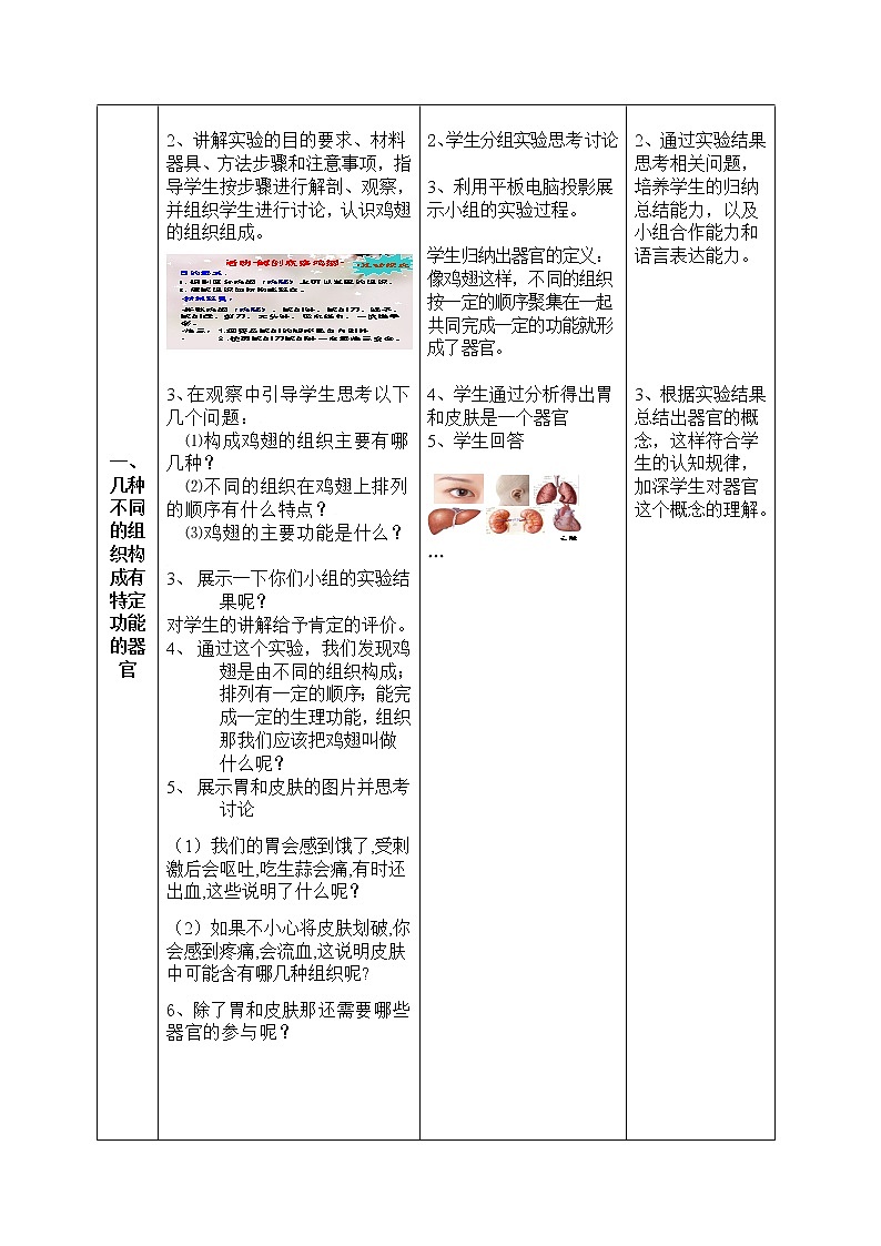 北师大版生物七年级上册 4.2 生物体的器官、系统(3)(教案)03