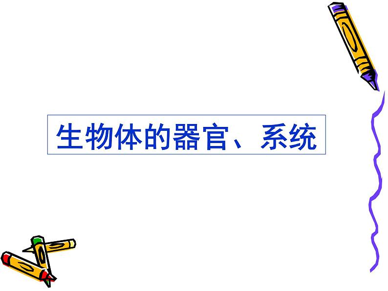 北师大版生物七年级上册 4.2 生物体的器官、系统_(课件)第1页