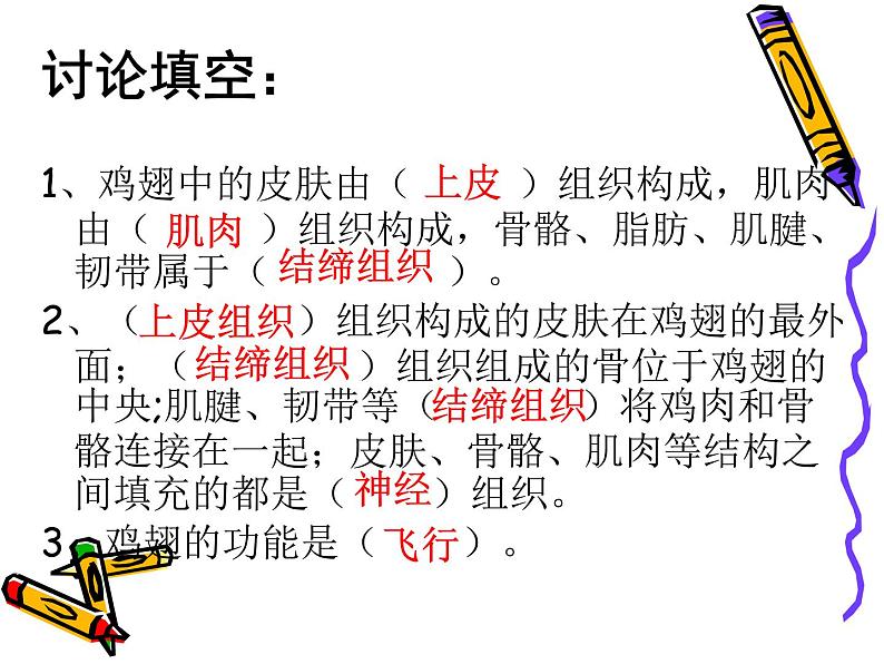 北师大版生物七年级上册 4.2 生物体的器官、系统_(课件)第4页