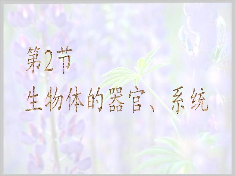 北师大版生物七年级上册 4.2 生物体的器官、系统(2)(课件)第4页