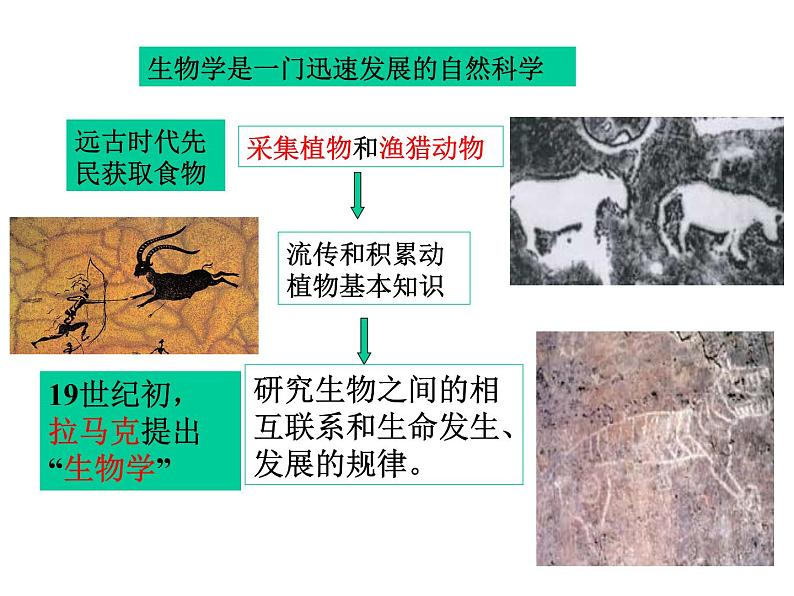 北师大版生物七年级上册 2.1 生物学是探索生命的科学_(课件)第3页