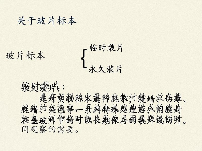 北师大版生物七年级上册 3.1 细胞的基本结构和功能(课件)03