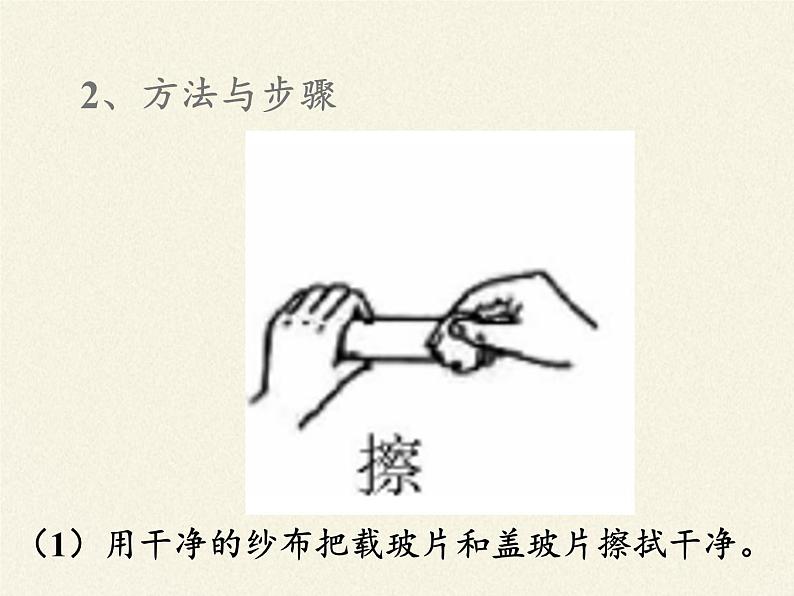 北师大版生物七年级上册 3.1 细胞的基本结构和功能(课件)05