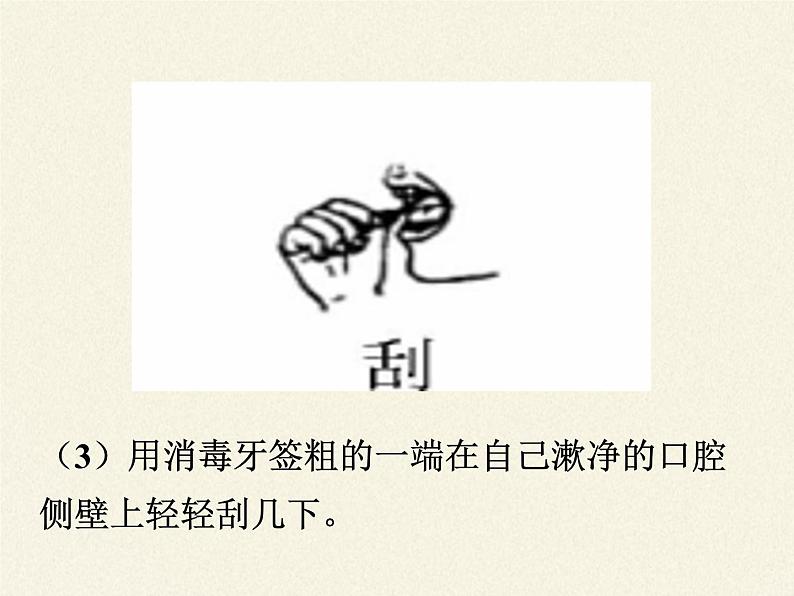 北师大版生物七年级上册 3.1 细胞的基本结构和功能(课件)07