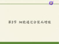 初中北師大版第3節(jié) 細胞通過分裂而增殖教案配套課件ppt
