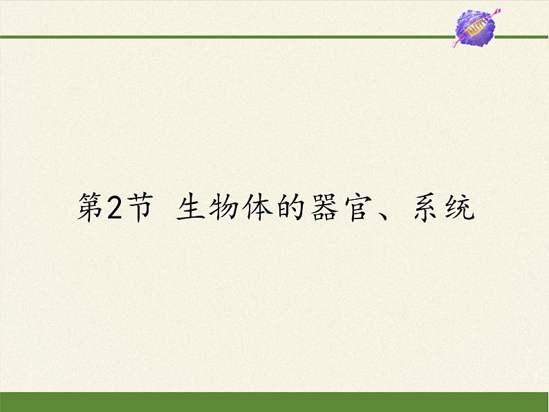 北师大版生物七年级上册 4.2 生物体的器官、系统(课件)01