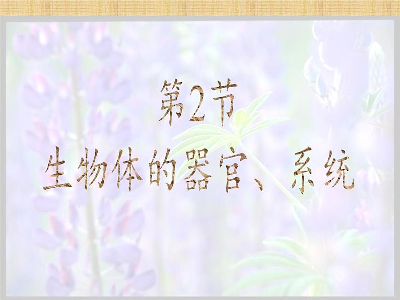 北师大版生物七年级上册 4.2 生物体的器官、系统(课件)05