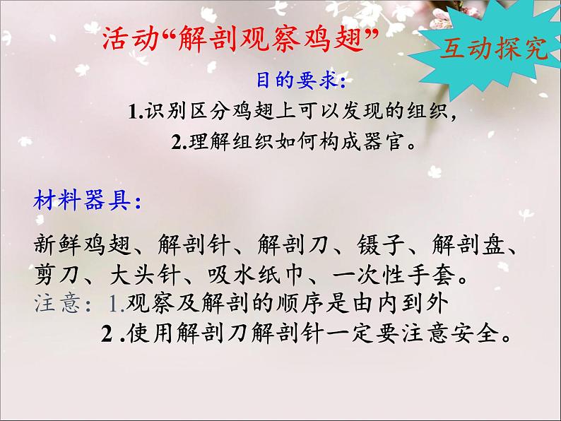 北师大版生物七年级上册 4.2 生物体的器官、系统(课件)07