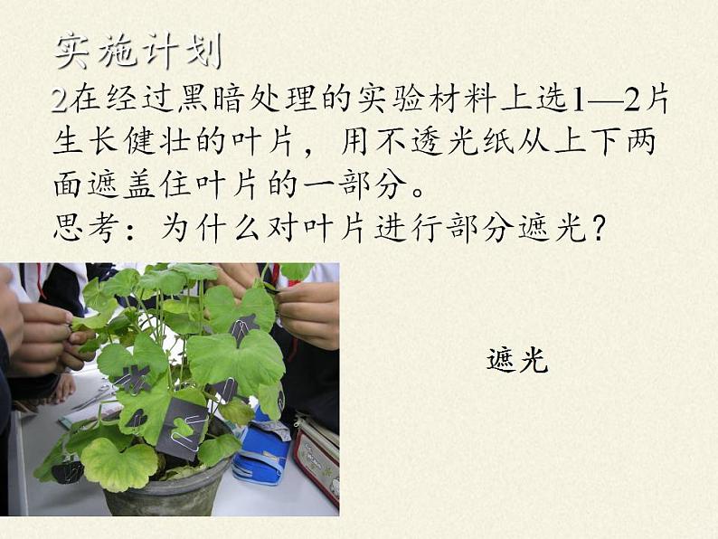 北师大版生物七年级上册 5.1 光合作用(1)(课件)04