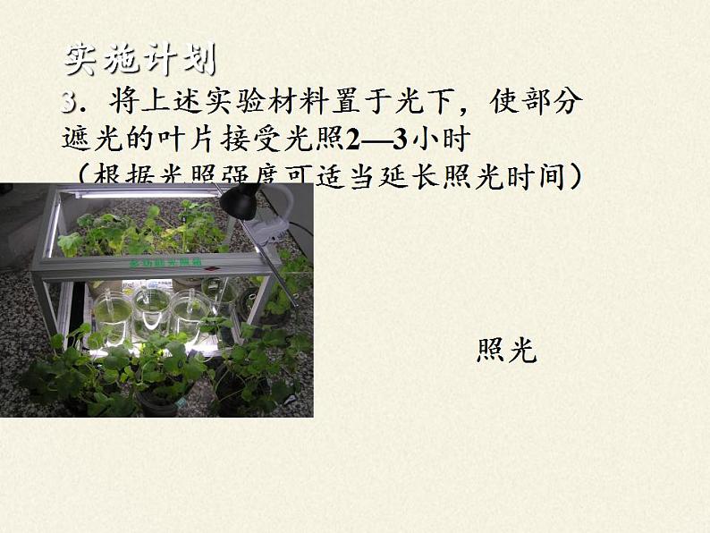 北师大版生物七年级上册 5.1 光合作用(1)(课件)05