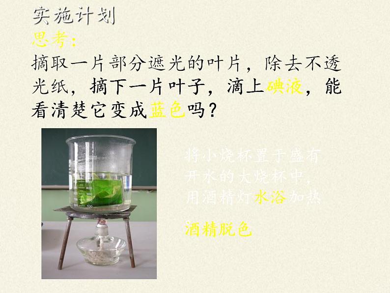 北师大版生物七年级上册 5.1 光合作用(1)(课件)06
