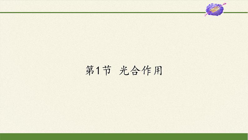 北师大版生物七年级上册 5.1 光合作用(课件)01