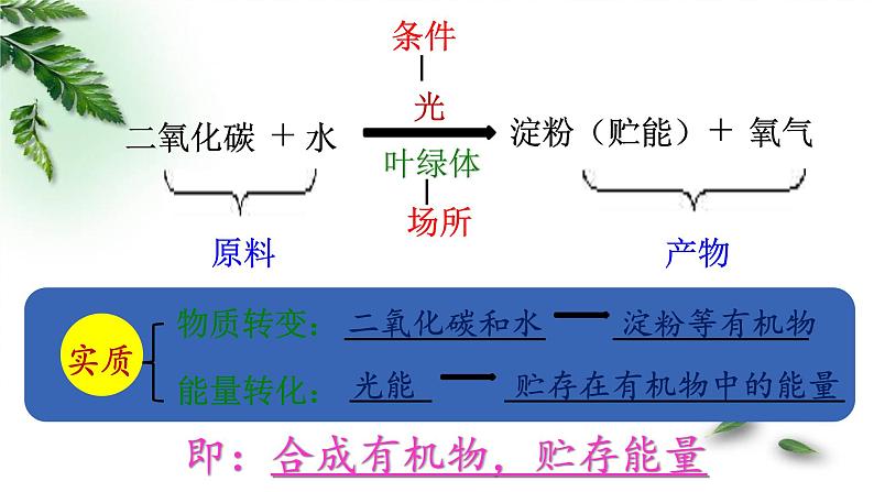 北师大版生物七年级上册 5.1 光合作用(课件)04