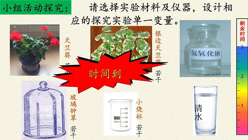 北师大版生物七年级上册 5.1 光合作用(课件)07