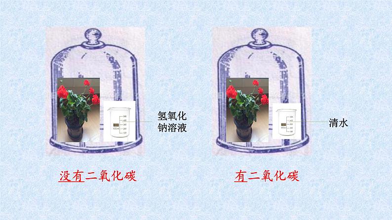 北师大版生物七年级上册 5.1 光合作用(课件)08