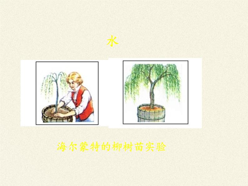 北师大版生物七年级上册 5.1 光合作用(3)(课件)第7页