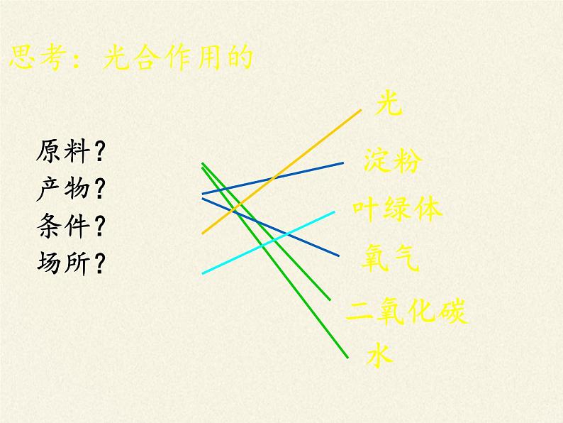 北师大版生物七年级上册 5.1 光合作用(3)(课件)第8页