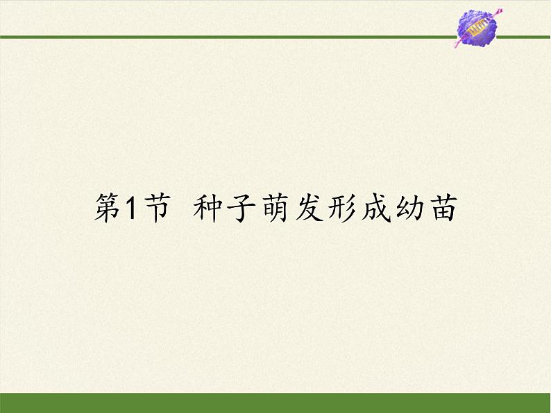 北师大版生物七年级上册 6.1 种子萌发形成幼苗(4)(课件)第1页