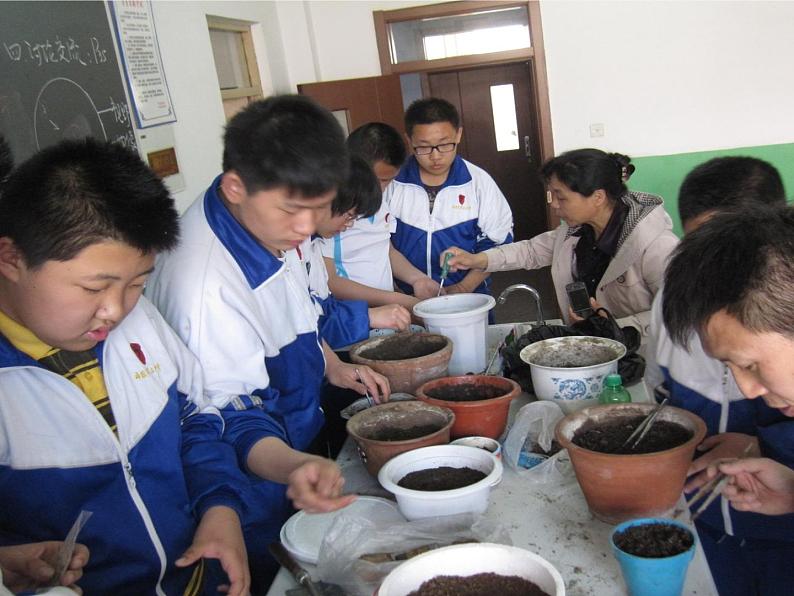 北师大版生物七年级上册 6.1 种子萌发形成幼苗(4)(课件)第2页