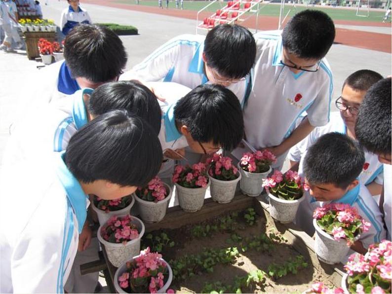 北师大版生物七年级上册 6.1 种子萌发形成幼苗(4)(课件)第5页
